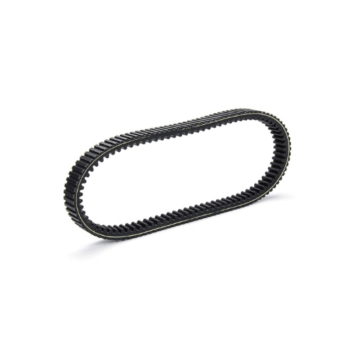 Engine Belt for TVS NTORQ | BS6